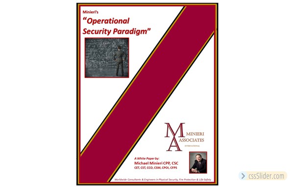 Operational_Security_Paradigm